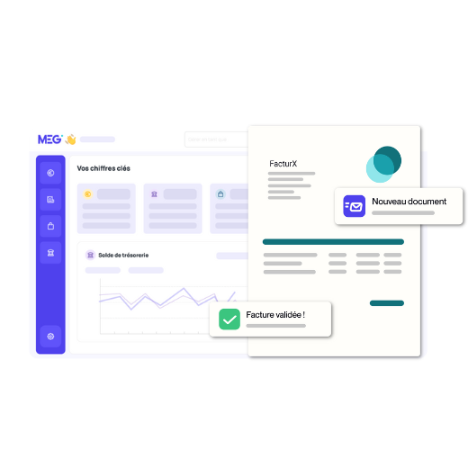 Montage sur fond transparent de visuels extraits de la plateforme MEG - facture électronique