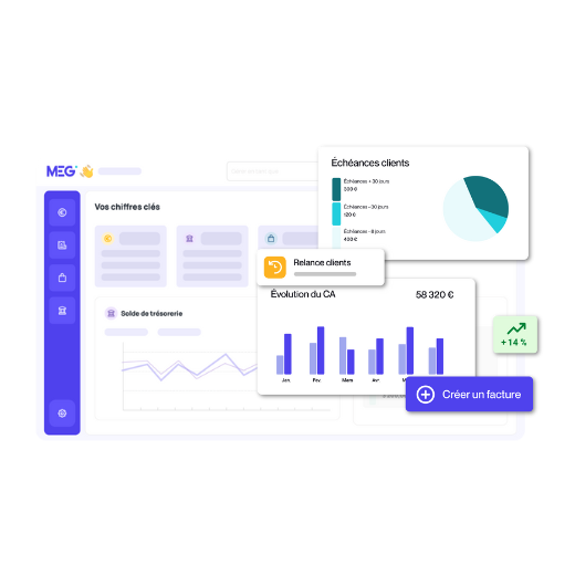 Montage sur fond transparent de visuels extraits de la plateforme MEG - pilotage