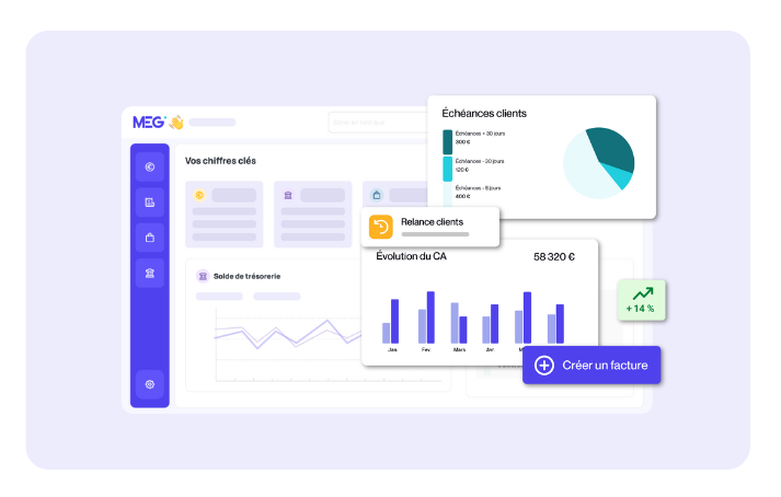 Montage de visuels extraits de la plateforme MEG - pilotage